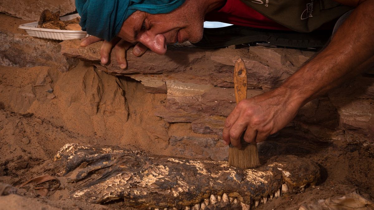 V Egyptě našli mumifikované krokodýly